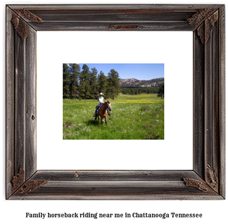 family horseback riding near me in Chattanooga, Tennessee